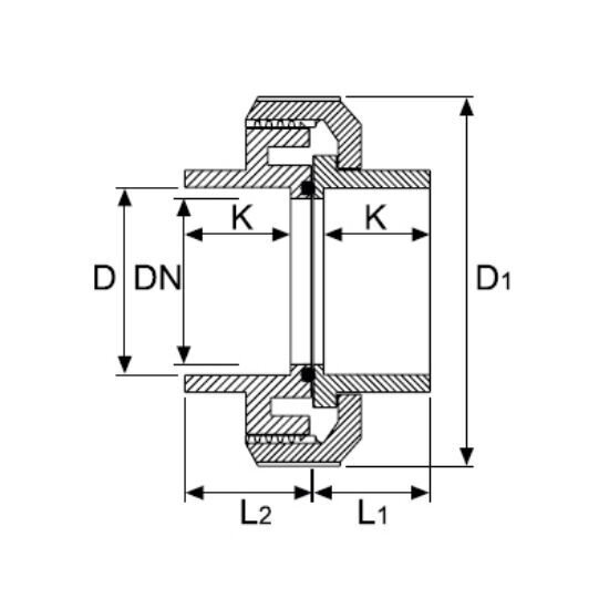 Išardomas sujungimas PVC-U PİMTAŞ 50 (PN16) 1