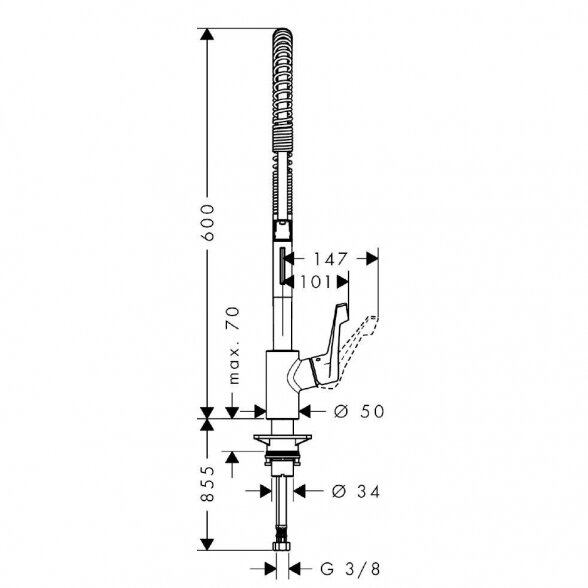 Virtuvės (plautuvės) maišytuvas HANSGROHE Cento XXL Semi-Pro 2jet, 14806000 2