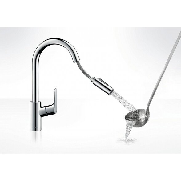 Virtuvinis (plautuvės) maišytuvas su ištraukiamu snapu HANSGROHE Focus, 31815000 4