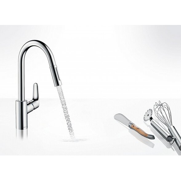 Virtuvinis (plautuvės) maišytuvas su ištraukiamu snapu HANSGROHE Focus, 31815000 5